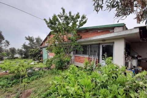 Коммерческая недвижимость 1300м² в Эвозмон, Греция №56025 5