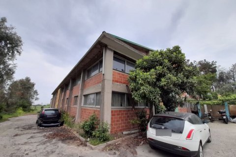 Коммерческая недвижимость 1300м² в Эвозмон, Греция №56025 3