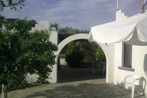 350m² Hotel in Chalkidiki, Greece No. 107985 14