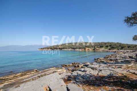 3 bedrooms House in Magnesia, Greece No. 104630 20