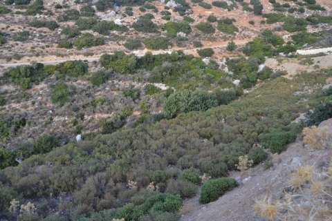 10000m² Land in Hersonissos, Greece No. 58458 7