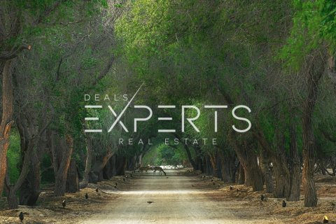 4 bedrooms Villa in Rayhanah Avenue, Vietnam No. 93339 22