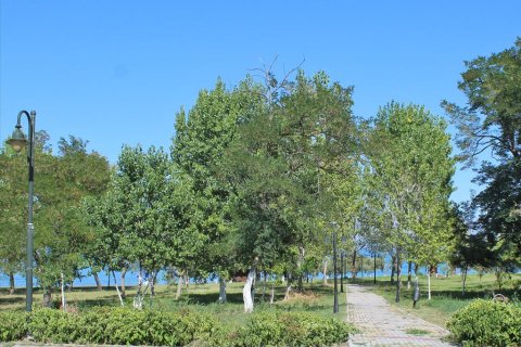 16 habitaciones Hotel en Kolindros, Greece No. 56491 12