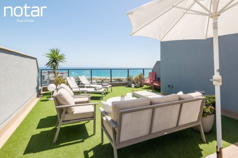 Studio Appartement à Gran Alacant, Spain No. 126876