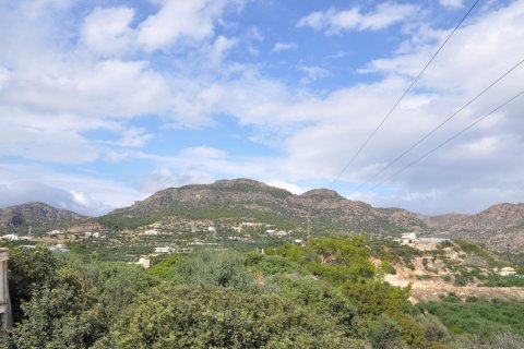 5547m² Land à Lasithi, Greece No. 57661 6