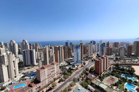 Apartamento tipo estudio Estudio en Benidorm, Spain No. 128050