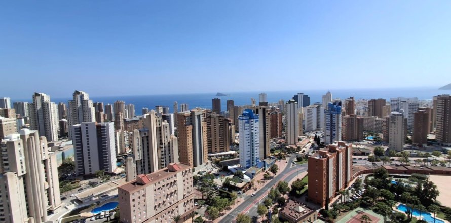 Apartamento tipo estudio Estudio en Benidorm, Spain No. 128050