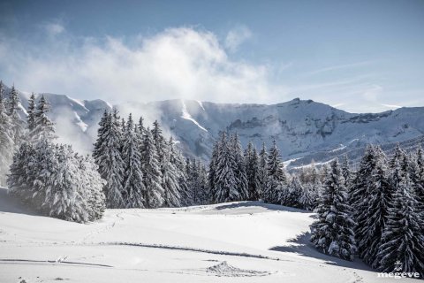 5 bedrooms House in Demi-Quartier, France No. 99616 4