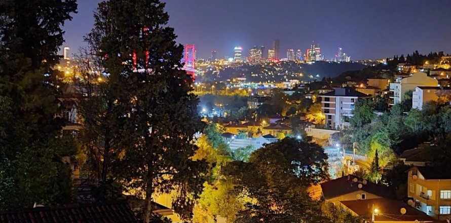 Вилла с 4 спальнями в Стамбул, Турция №15365