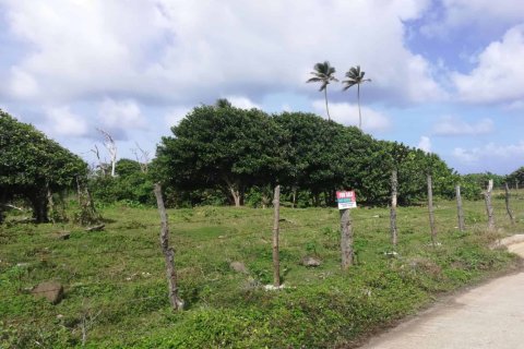 18616m² Land à Marigot, Dominica No. 66280 4