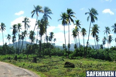18616m² Land à Marigot, Dominica No. 66280 6