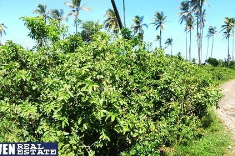 18616m² Land à Marigot, Dominica No. 66280 5