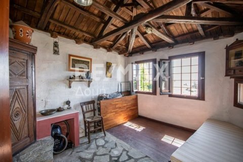 Дом с 2 спальнями в Магнисия, Греция №104649 19