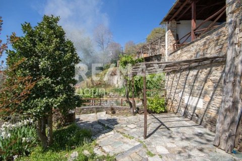 Дом с 2 спальнями в Магнисия, Греция №104649 24