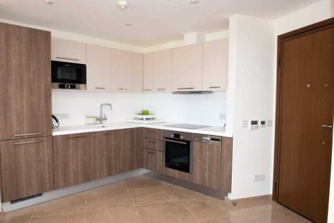 Квартира с 1 спальней в Лимассол, Кипр №32548 14