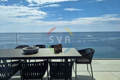 Пентхаус с 3 спальнями в Мутайяка, Кипр №74188 3