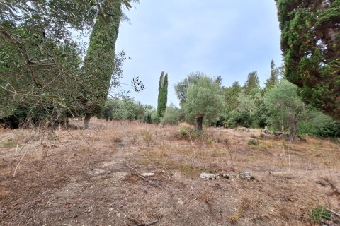 3 bedrooms House in Corfu, Greece No. 109307 21