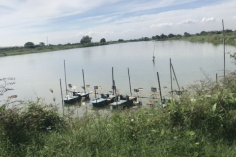 60000m² Land in Bang Na, Thailand No. 97348 5