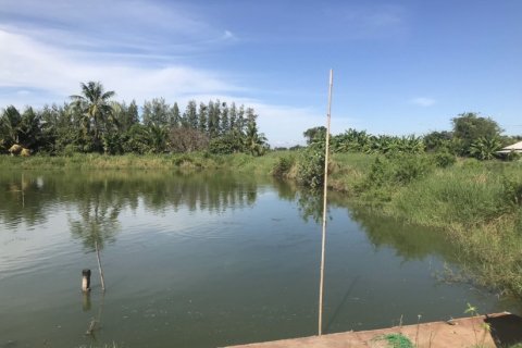 60000m² Land in Bang Na, Thailand No. 97348 8