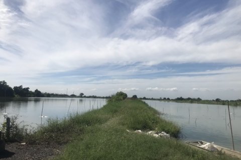 60000m² Land in Bang Na, Thailand No. 97348 6