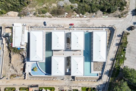 Пентхаус с 2 спальнями в Chau Lang, Вьетнам №11044 11