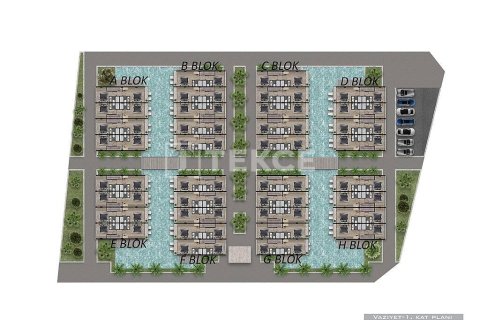 Пентхаус с 2 спальнями в Chau Lang, Вьетнам №11044 16