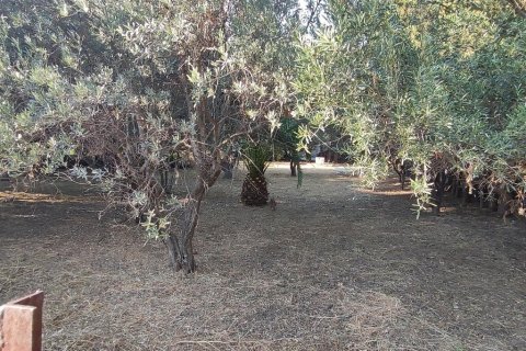 965m² Land in Pallini, Greece No. 56293 2