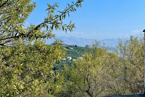 Дом с 4 спальнями в Керкира, Греция №56089 23