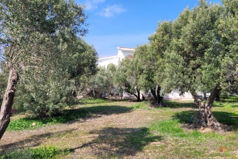 4 bedrooms House in Chalkidiki, Greece No. 108308 4