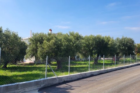 4 bedrooms House in Chalkidiki, Greece No. 108308 8