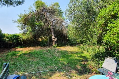 2 bedrooms House in Chalkidiki, Greece No. 125010 7