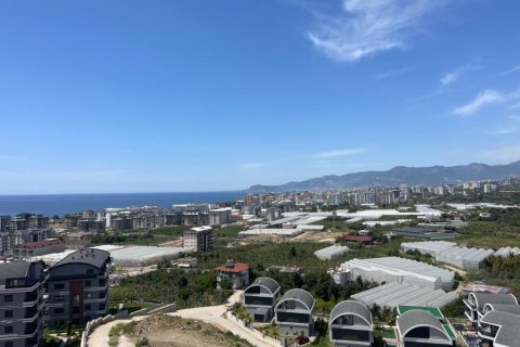 5 rooms Appartement à Lien Chieu, Vietnam No. 21415 27