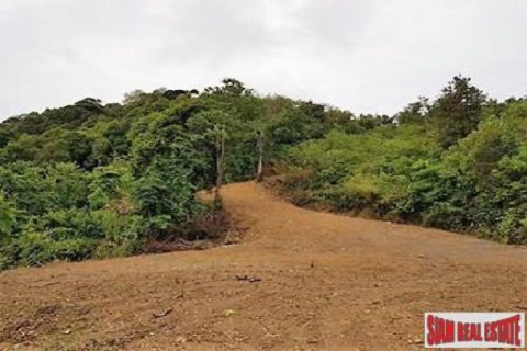 55200m² Land en Ko Lanta Yai, Thailand No. 96531 10