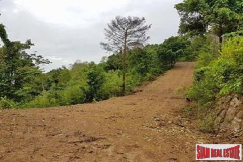 55200m² Land en Ko Lanta Yai, Thailand No. 96531 11
