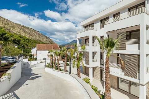 Studio Apartment in Herceg Novi, Montenegro No. 79262 6