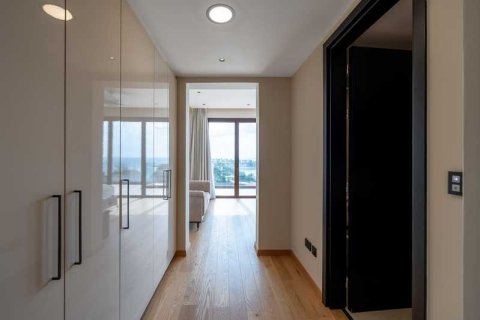 6 chambres Villa à Pegeia, Cyprus No. 82674 9