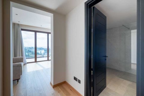 6 chambres Villa à Pegeia, Cyprus No. 82674 13