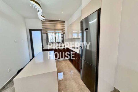 Пентхаус с 4 спальнями в Агиос Афанасиос, Кипр №73739 3