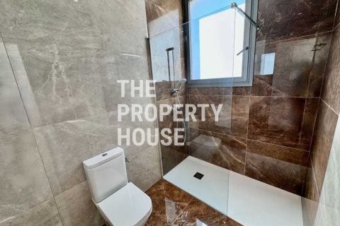 Пентхаус с 4 спальнями в Агиос Афанасиос, Кипр №73739 8