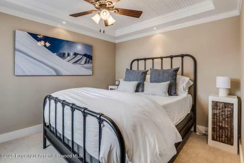 6 bedrooms House in Glenwood Springs, USA No. 104597 17