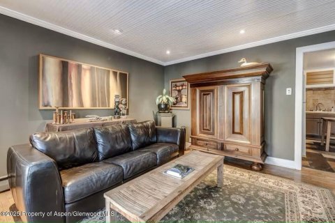 6 bedrooms House in Glenwood Springs, USA No. 104597 24