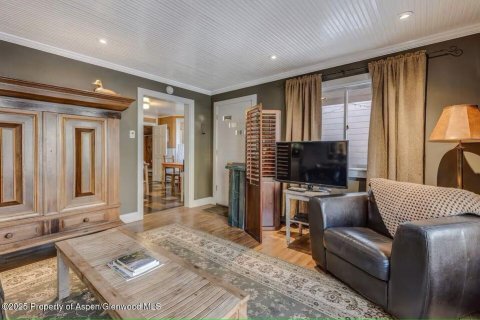 6 bedrooms House in Glenwood Springs, USA No. 104597 25