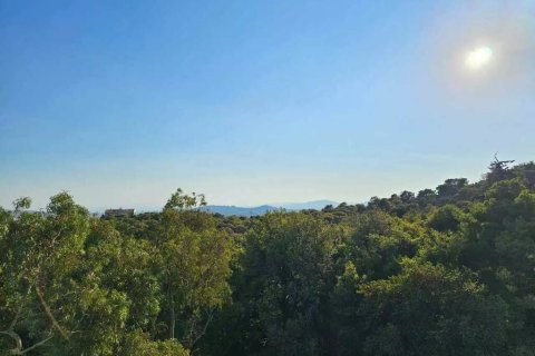 2 bedrooms Apartment in Melissia, Greece No. 108524 3