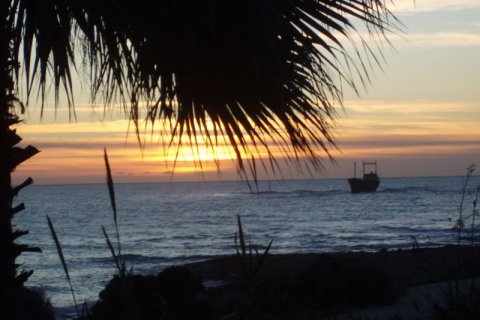 6 bedrooms Villa in Chloraka, Cyprus No. 73496 7