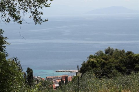 10000m² Land à Corfu, Greece No. 60335 6