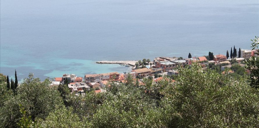 10000m² Land à Corfu, Greece No. 60335