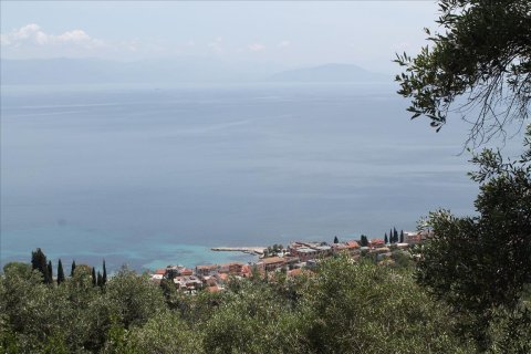 10000m² Land à Corfu, Greece No. 60335 5