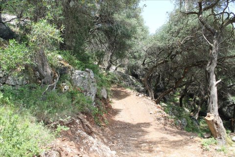 10000m² Land à Corfu, Greece No. 60335 4