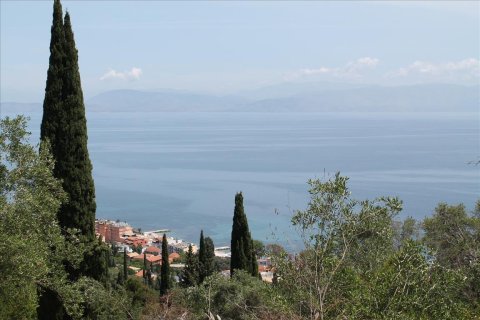 10000m² Land à Corfu, Greece No. 60335 7