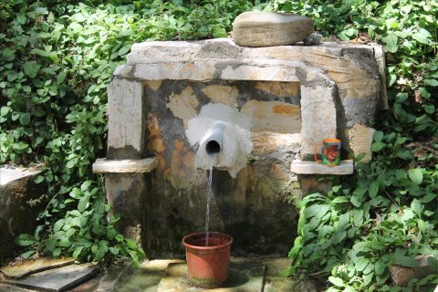 10000m² Land à Corfu, Greece No. 60335 11